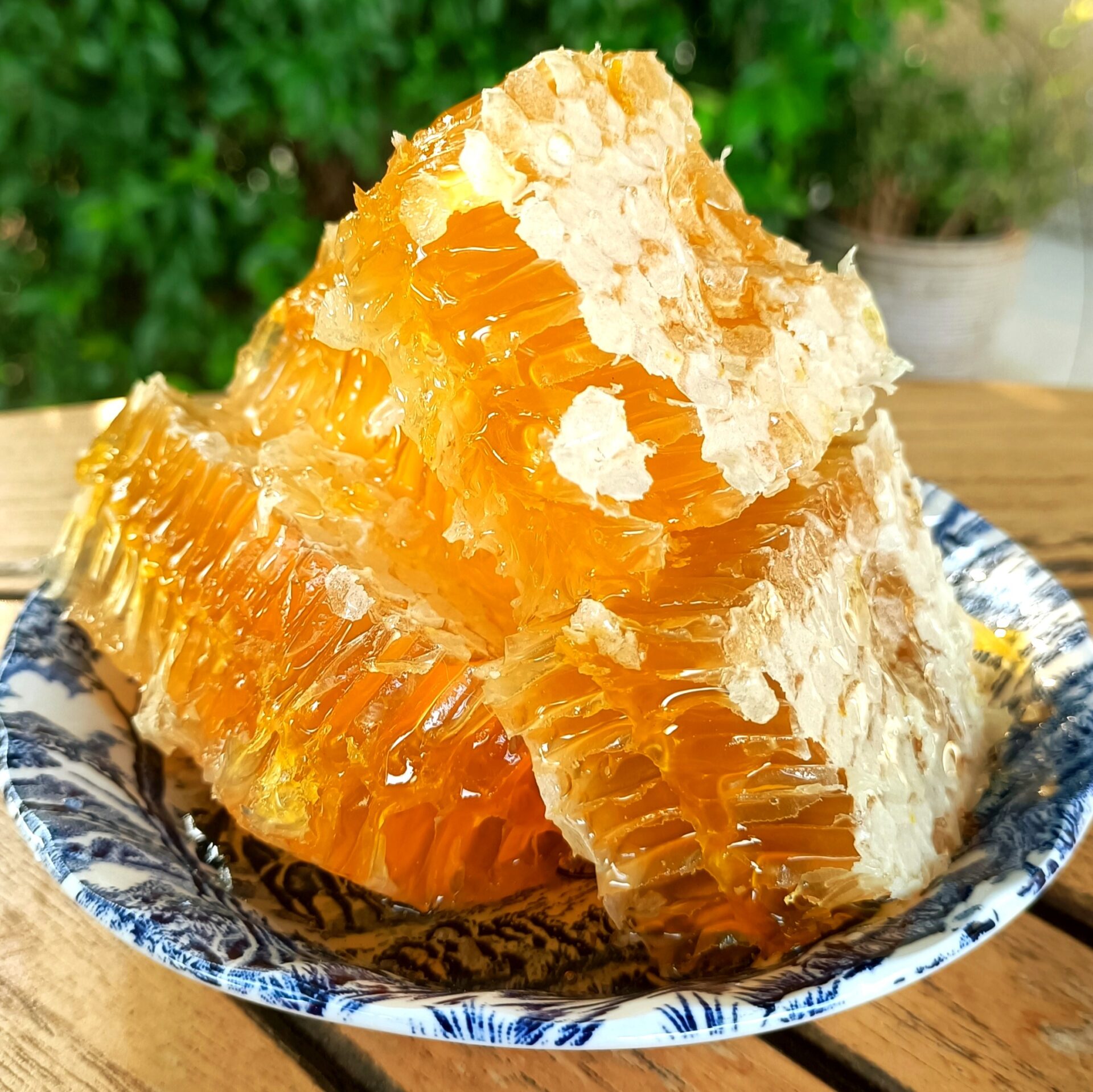 692579289e0d2fa4209de77f